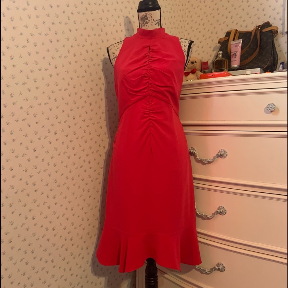 Halston Heritage Ruched Ruffle Fuchsia Dress - Picture 5 of 15